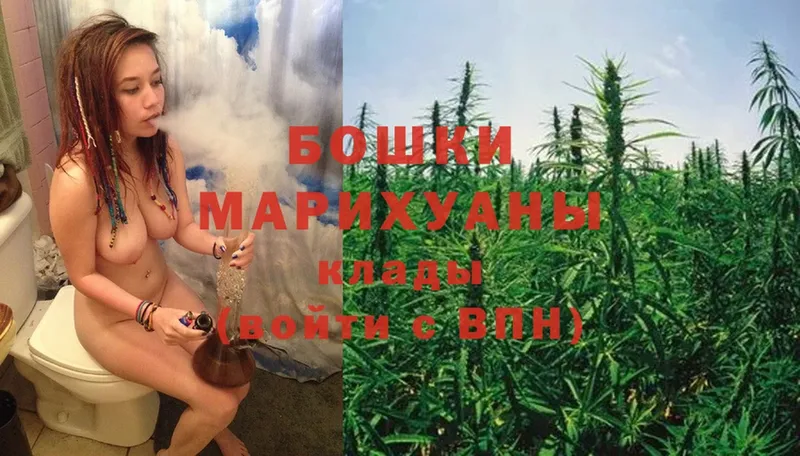 Бошки марихуана THC 21%  гидра онион  Новоузенск 